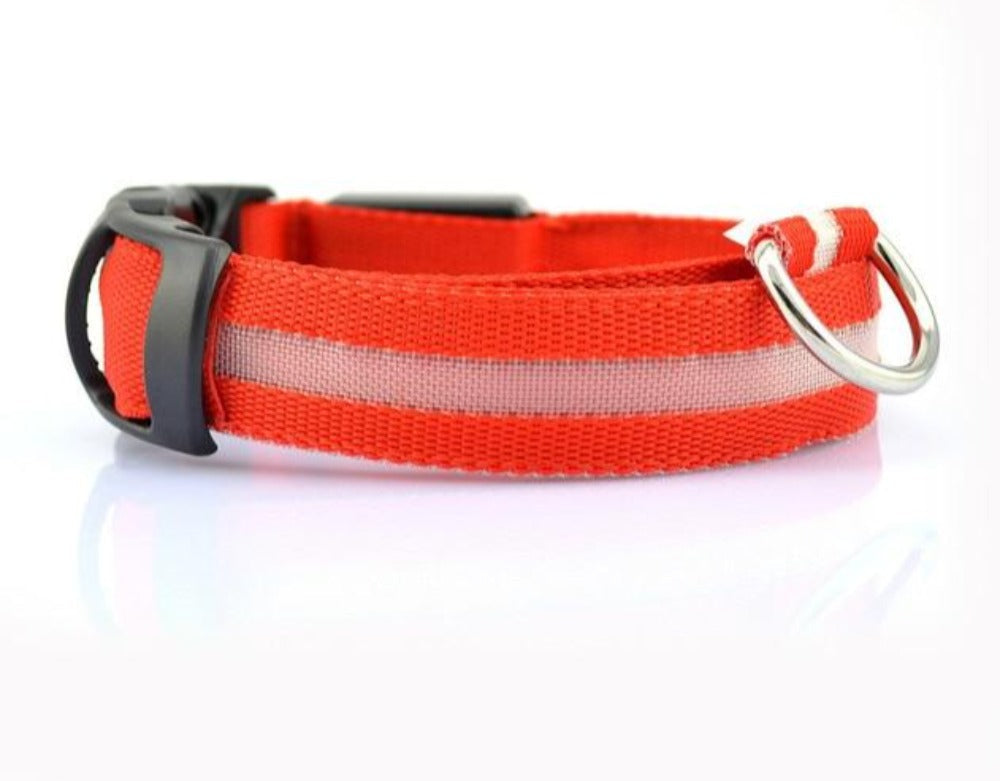 MatchMyStyle Luminous Paws 2-Piece LED Dog Collar Set