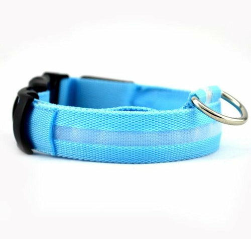MatchMyStyle Luminous Paws 2-Piece LED Dog Collar Set