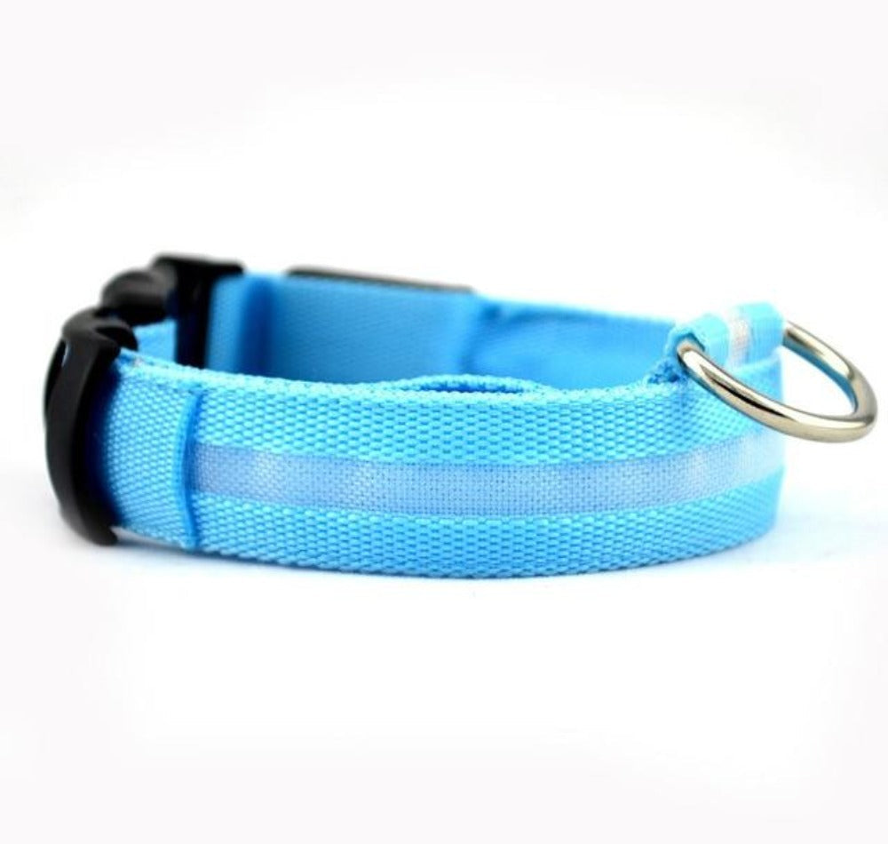 MatchMyStyle Luminous Paws 2-Piece LED Dog Collar Set