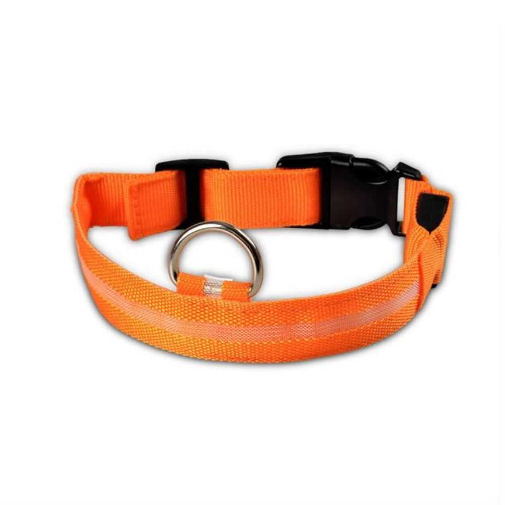 MatchMyStyle Luminous Paws 2-Piece LED Dog Collar Set