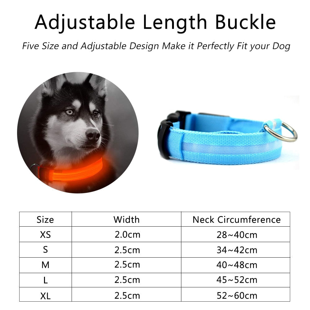 MatchMyStyle Luminous Paws 2-Piece LED Dog Collar Set