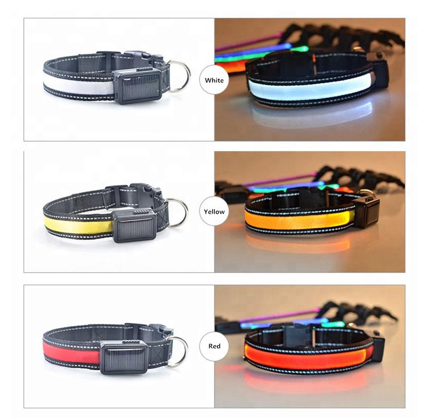 MatchMyStyle Luminous Guide Solar & USB Charge LED Dog Collar