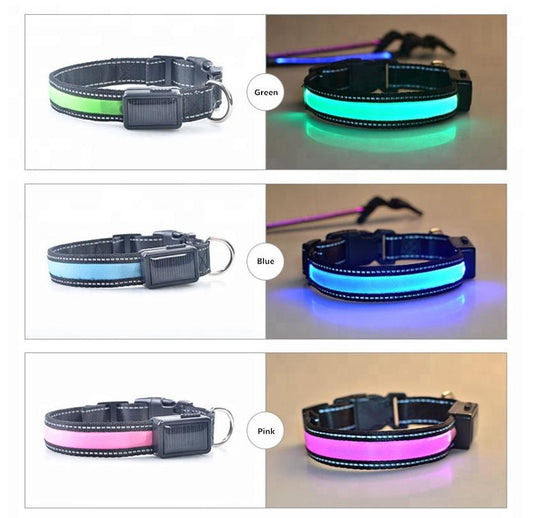 MatchMyStyle Luminous Guide Solar & USB Charge LED Dog Collar
