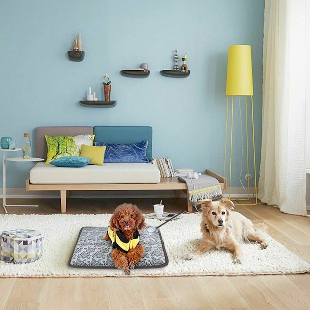 MatchMyStyle Cozy Comfort Self-Heating Pet Bed
