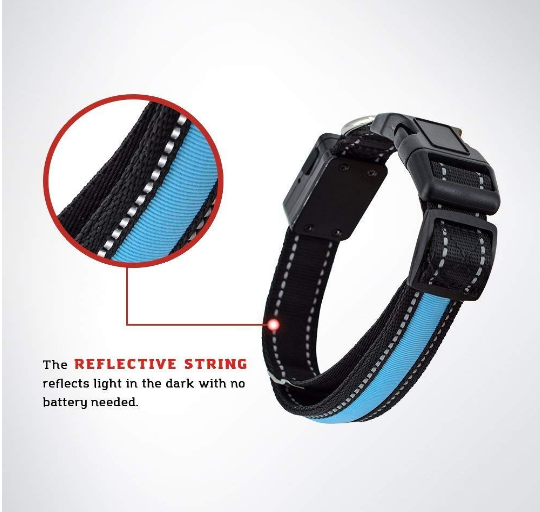 MatchMyStyle Luminous Guide Solar & USB Charge LED Dog Collar