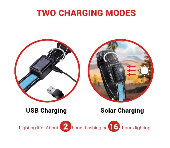 MatchMyStyle Luminous Guide Solar & USB Charge LED Dog Collar