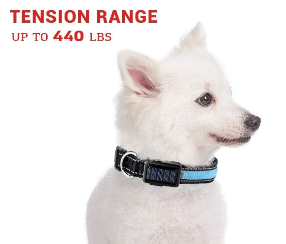 MatchMyStyle Luminous Guide Solar & USB Charge LED Dog Collar