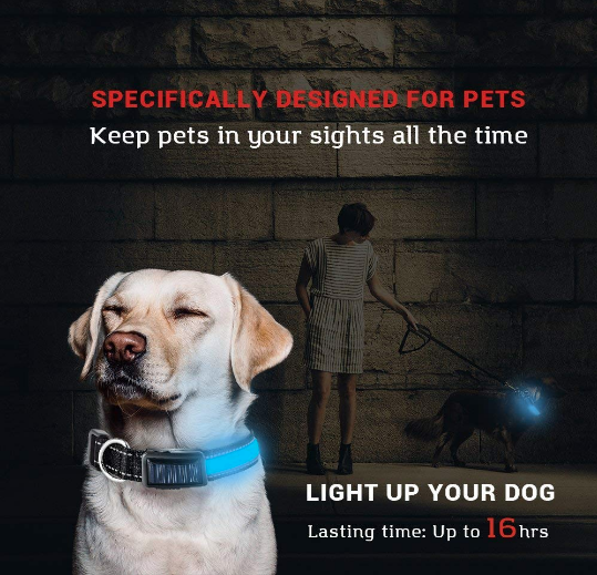 MatchMyStyle Luminous Guide Solar & USB Charge LED Dog Collar