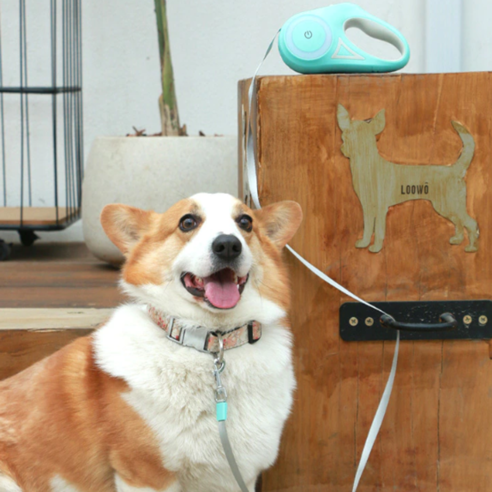 MatchMyStyle LuminaFlex Automatic Retractable Lighting Dog Leash