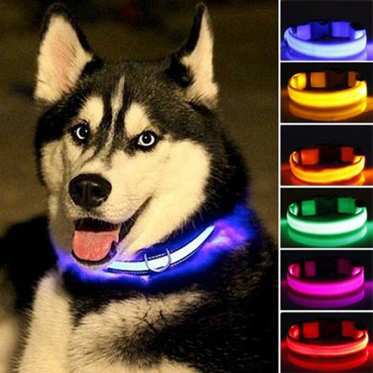 MatchMyStyle Luminous Paws 2-Piece LED Dog Collar Set