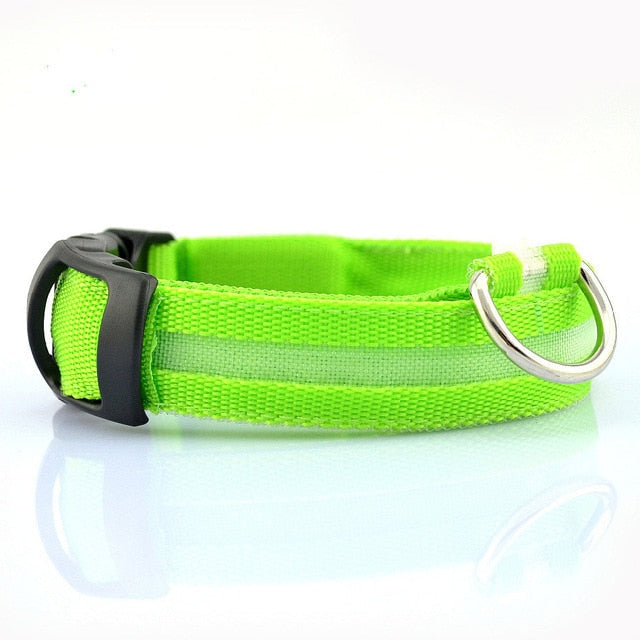 MatchMyStyle Luminous Paws 2-Piece LED Dog Collar Set