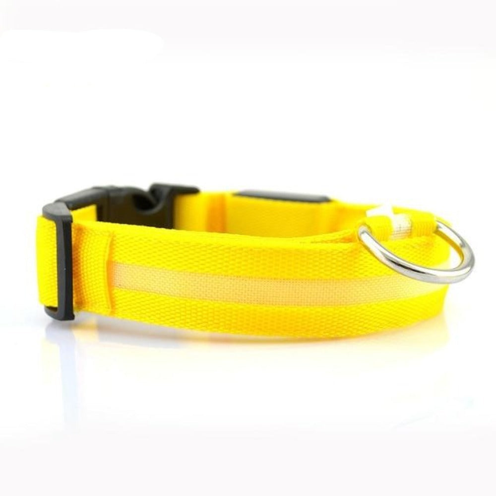 MatchMyStyle Luminous Paws 2-Piece LED Dog Collar Set